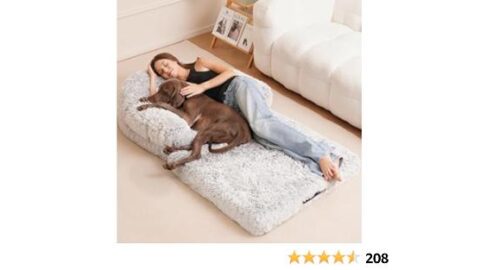 Foldable Human Dog Bed