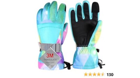 Ski Gloves