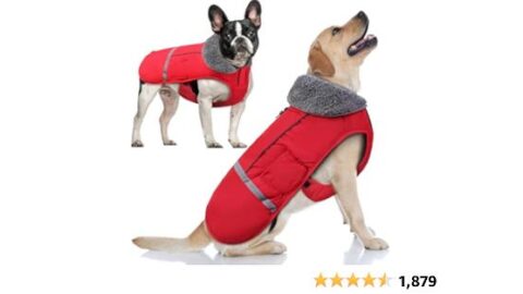 Doglay Dog Coat