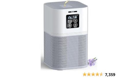 VEWIOR Air Purifiers for Home