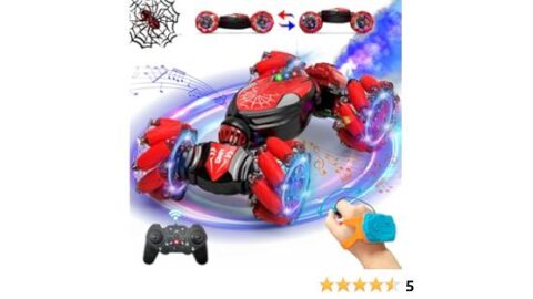 Stunt Car Remote Control Toys