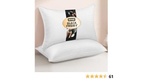 Queen Size Bed Pillow