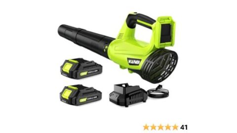 Electric Cordless Leaf Blower with 2 Batteries and Charger