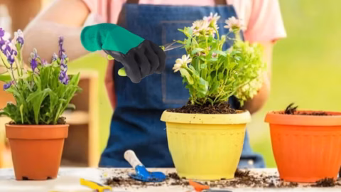Gardening Shears and Gloves Set, Only $6.99