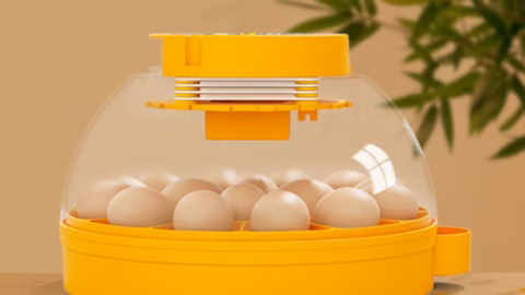 Score a 16-Egg Incubator for $39.99 on Amazon (Reg. $80)