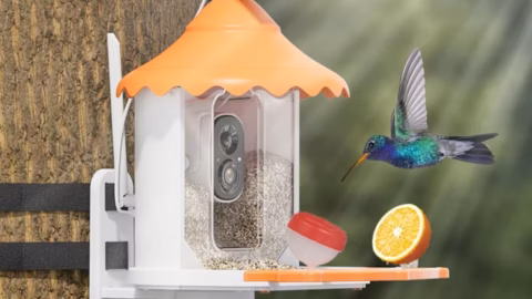 Smart Bird Feeder, Only $39.99 on Amazon (Reg. $99.99)