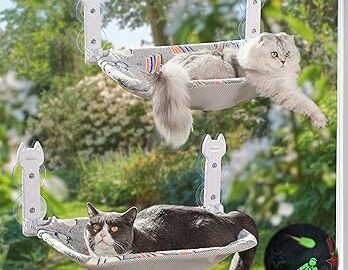 2 Pack Cat Window Perch