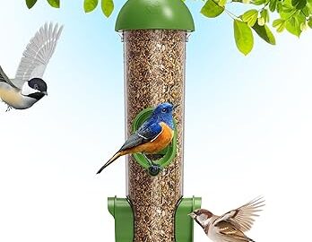 LONA Bird Feeders for Outdoors