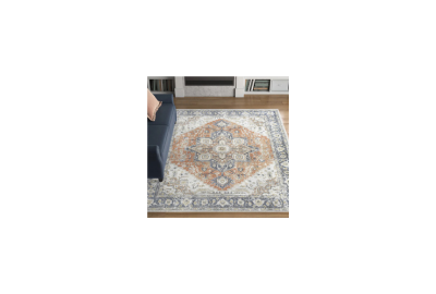 Washable Oriental Indoor Rug