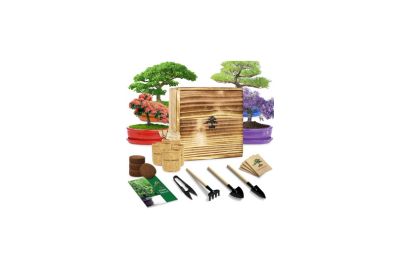 Bonsai Tree Starter Kit for Beginners