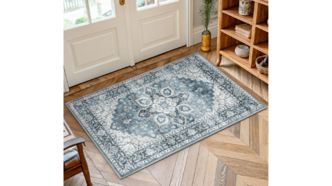2x3 Washable Area Rug
